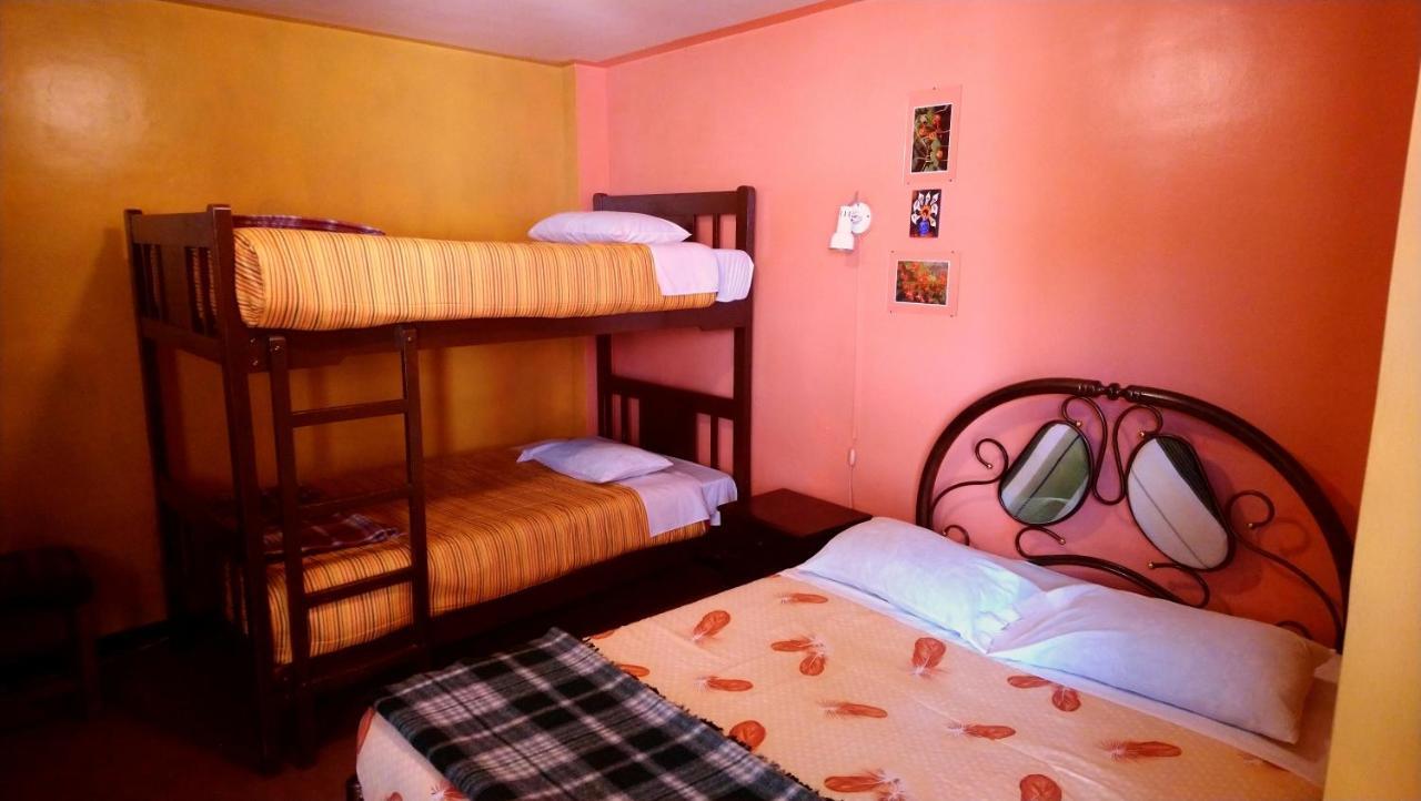 La Casa Del Manzano Hotell Puno Exteriör bild